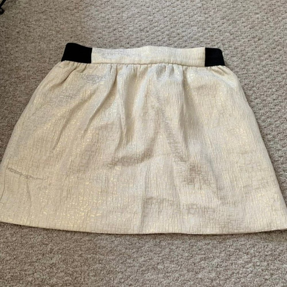 Gold Skirt